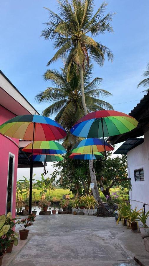 Pink Homestay D'Perlis Kangar Exteriör bild