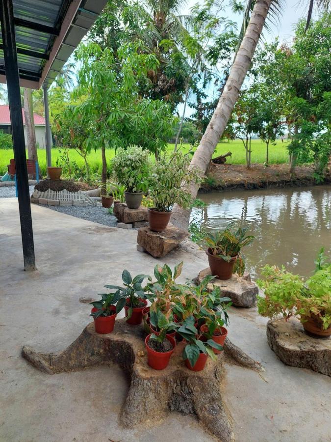 Pink Homestay D'Perlis Kangar Exteriör bild