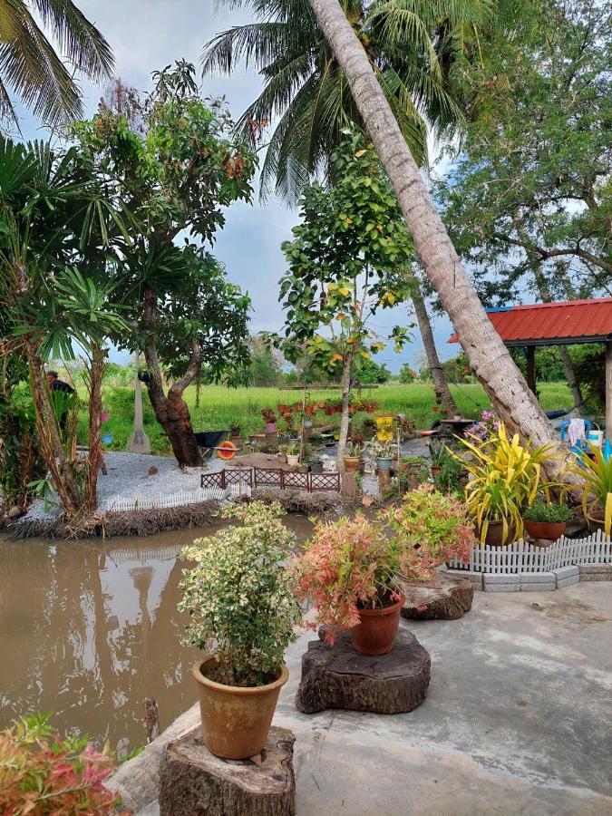 Pink Homestay D'Perlis Kangar Exteriör bild