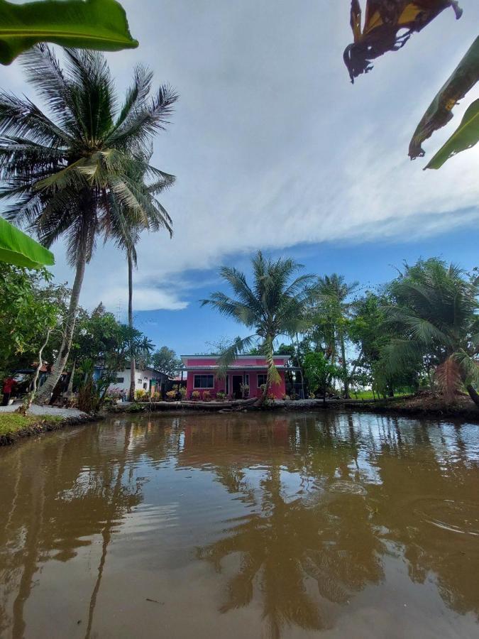 Pink Homestay D'Perlis Kangar Exteriör bild